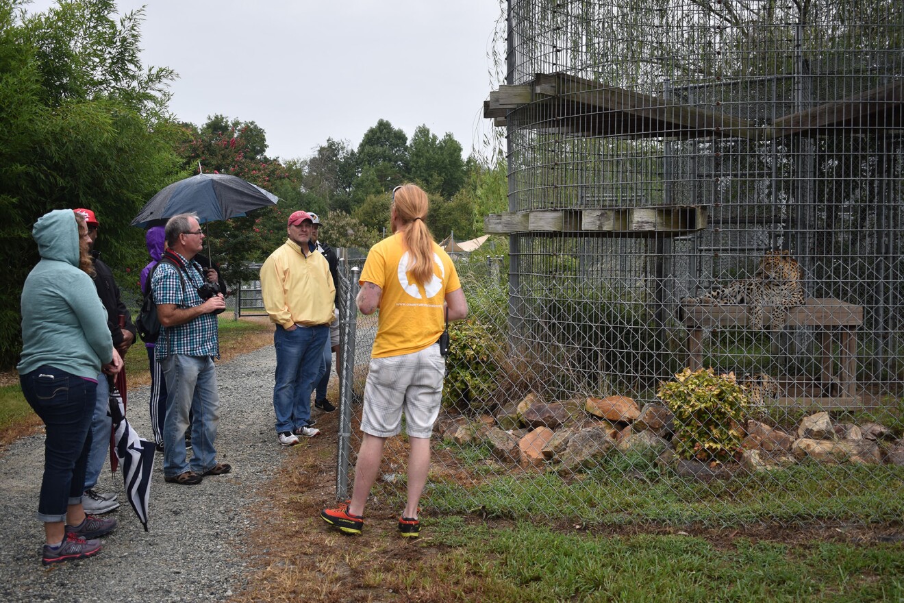 On a guided tour at the Animal Park at the Conservator's Center, a volunteer guide teaches a group of visitors about the leopard in front of them.